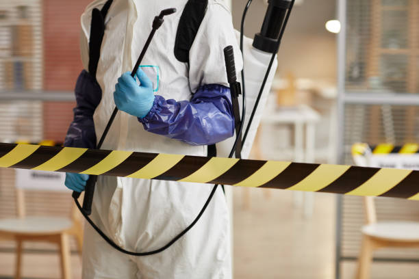 Professional Sewage Cleanup technician working in Bridgeton, MO
